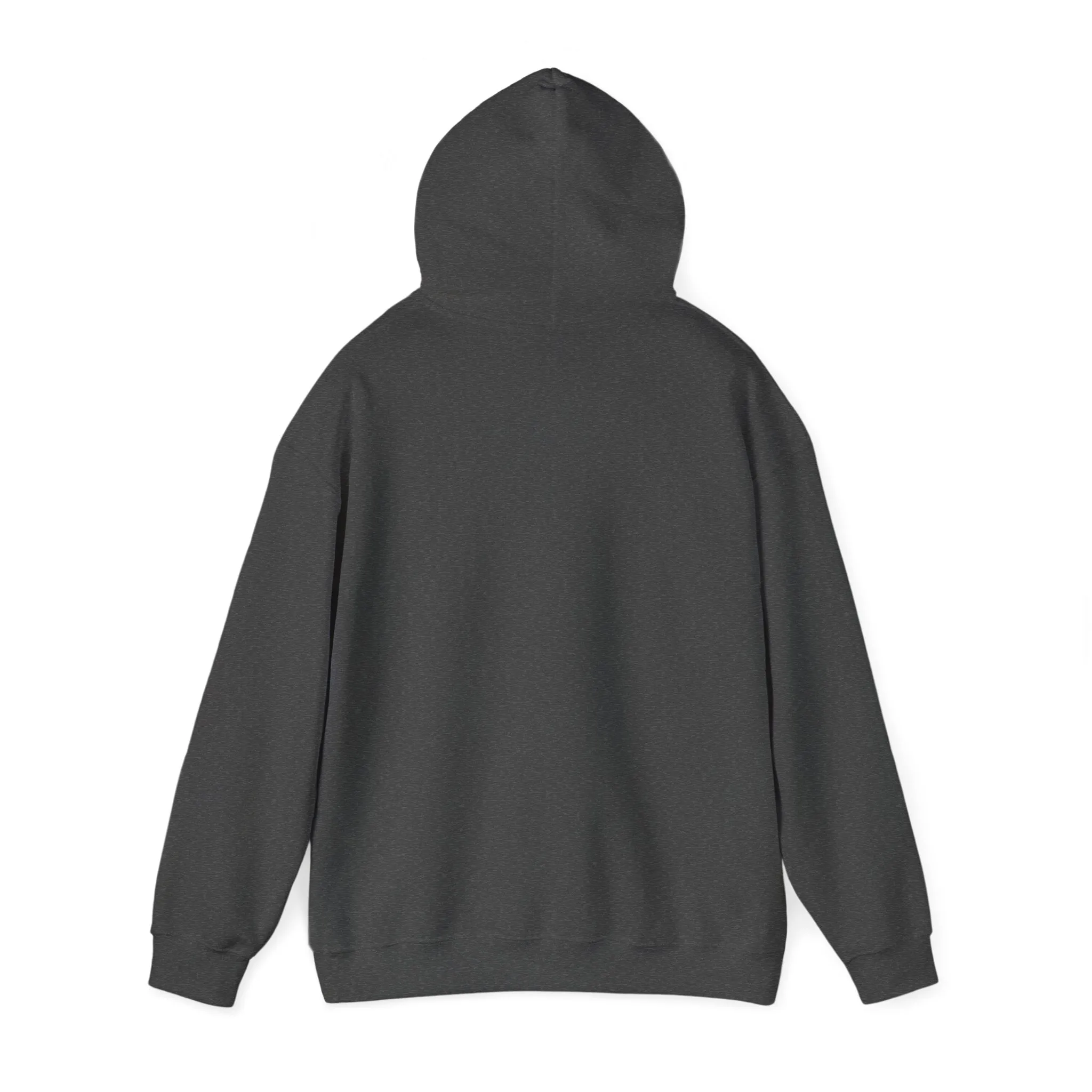 Not My President Hoodie