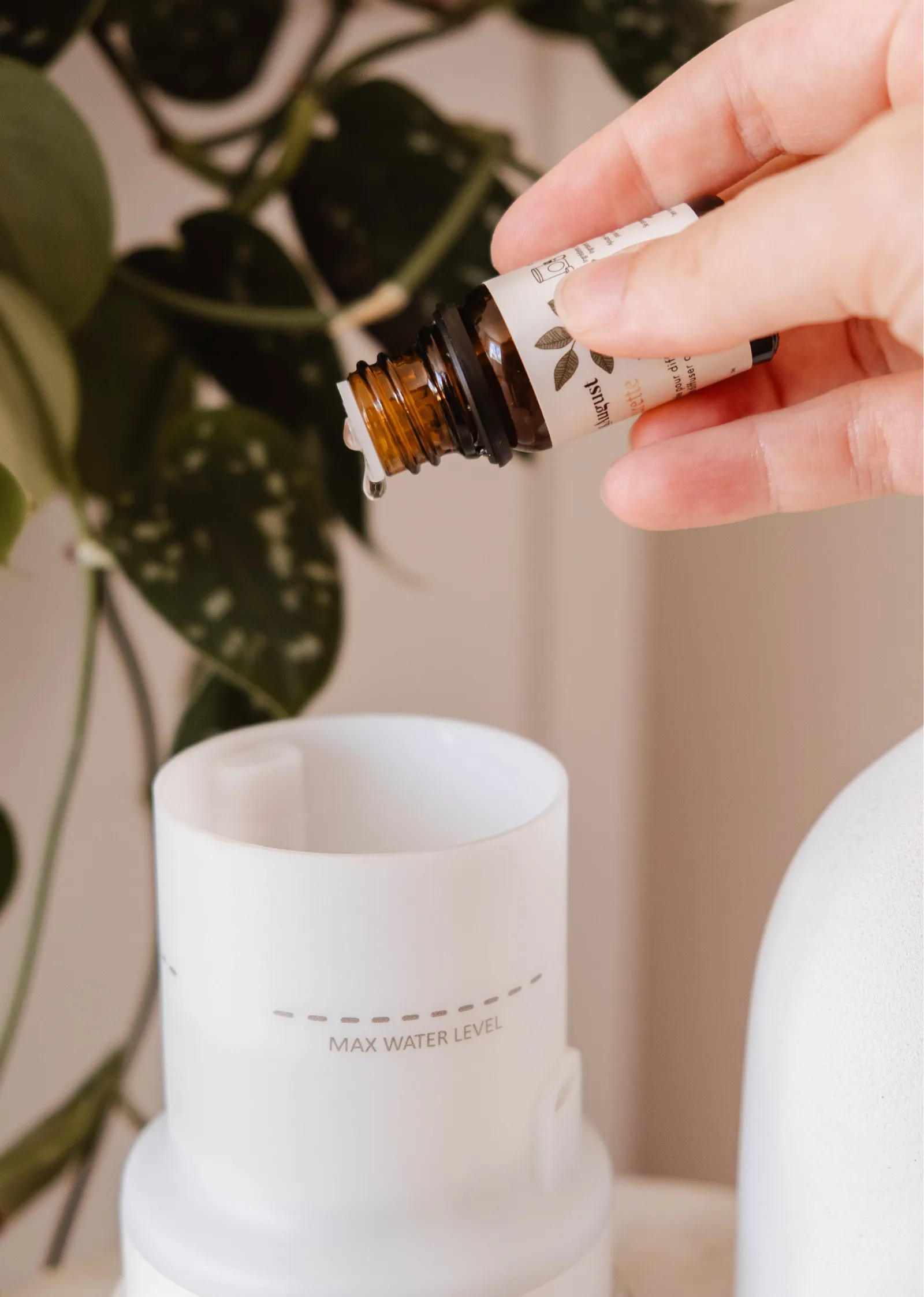 Scented Oil - Amalfi